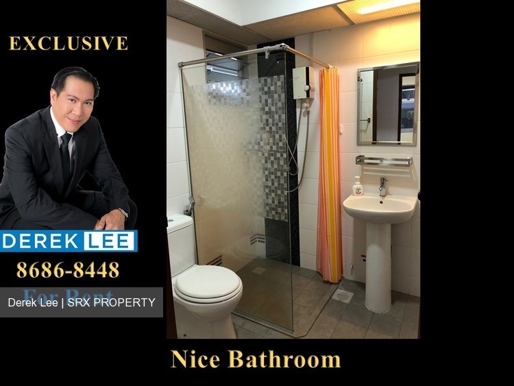 Blk 487 Segar Road (Bukit Panjang), HDB 3 Rooms #180517562